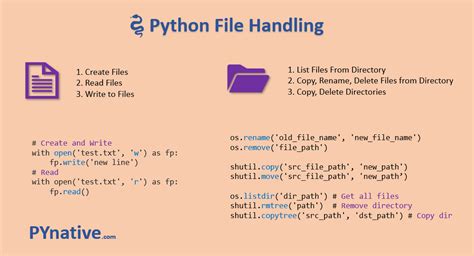 如何利用Python處理文字檔案？驚人技巧讓你輕鬆上手！