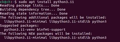 如何在Ubuntu上安裝Python？深入探討三種方法！